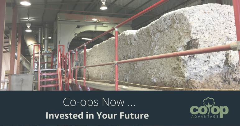 Co-ops Now … Invested in Your Future