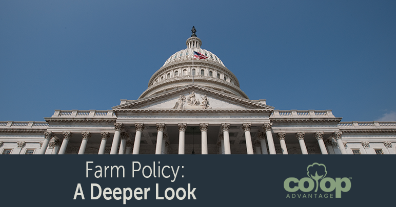 Farm Policy: A Deeper Look