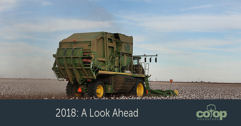 Cotton stripper baler in field