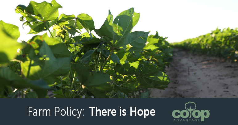 Farm Policy: There is Hope