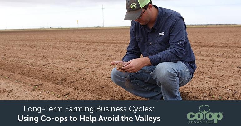 Farmer Checking Fields