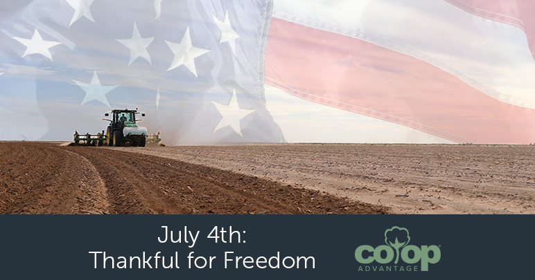 July 4th – Thankful For Freedom
