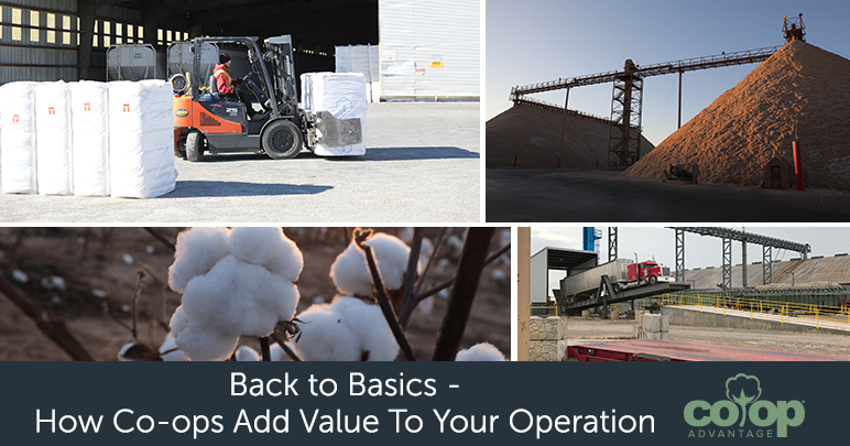 Back to Basics – How Co-ops Add Value to Your Operation