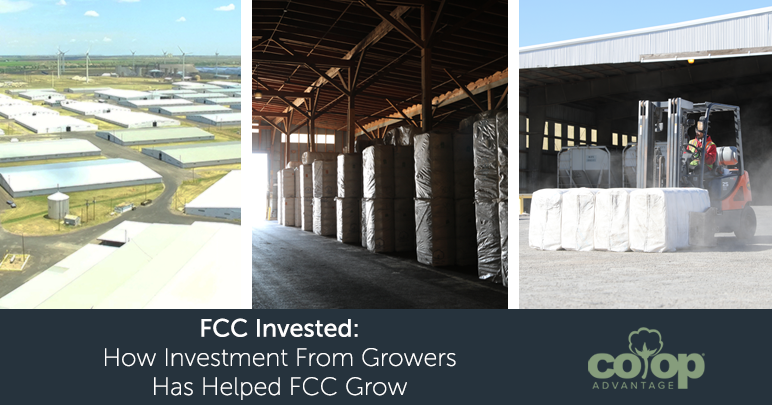 FCC Invested – How Investment From Growers Has Helped FCC Grow