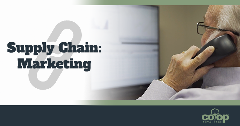 Supply Chain Series: Marketing