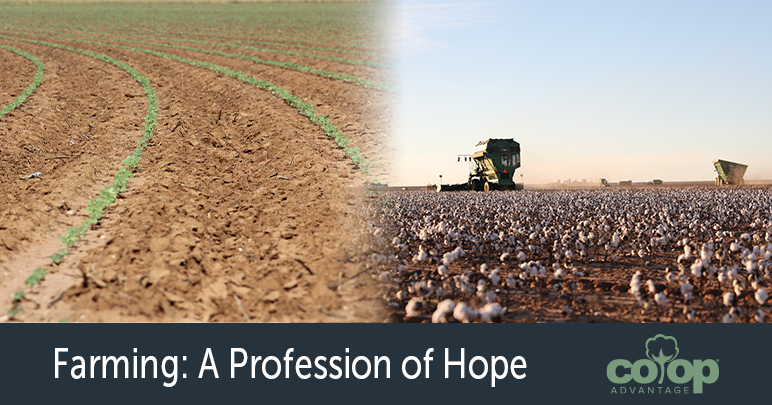 Farming: A Profession of Hope