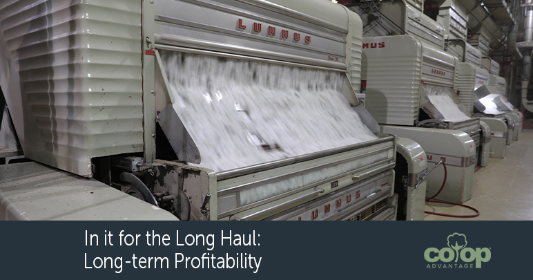 In it for the Long Haul: Long-Term Profitability